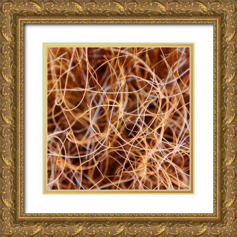 Zion Grass Gold Ornate Wood Framed Art Print with Double Matting by Bell, Jan