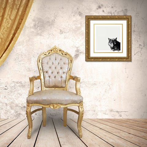 Inquisitive Gold Ornate Wood Framed Art Print with Double Matting by Bertelli, Jon