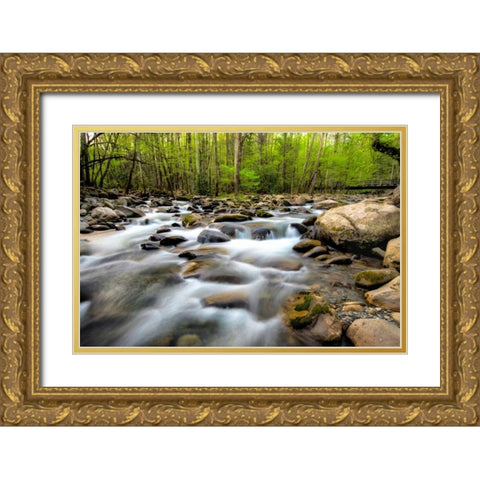 Below the Bridge Gold Ornate Wood Framed Art Print with Double Matting by Burt, Daniel