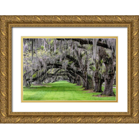 Hanging to the Left Gold Ornate Wood Framed Art Print with Double Matting by Burt, Daniel
