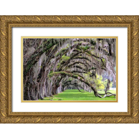 Hanging to the Right Gold Ornate Wood Framed Art Print with Double Matting by Burt, Daniel