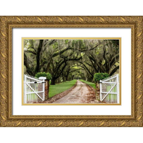 Plantation Road Gold Ornate Wood Framed Art Print with Double Matting by Burt, Daniel