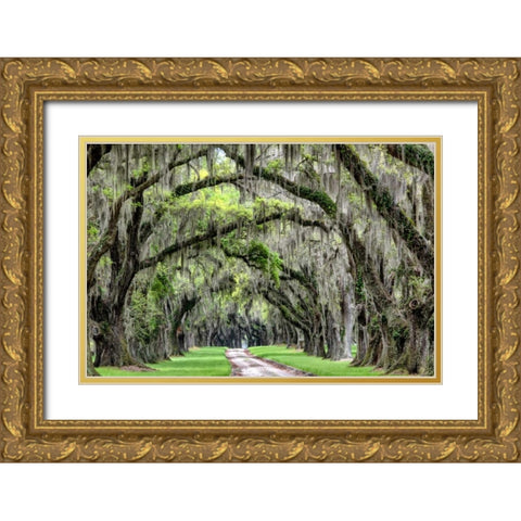 The Old South Gold Ornate Wood Framed Art Print with Double Matting by Burt, Daniel