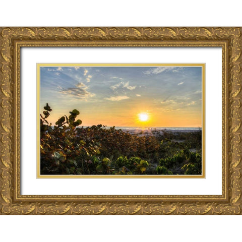 Sea Grapes at Sunset Gold Ornate Wood Framed Art Print with Double Matting by Burdick, Chuck