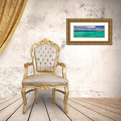 Caribbean Waters Gold Ornate Wood Framed Art Print with Double Matting by Burdick, Chuck