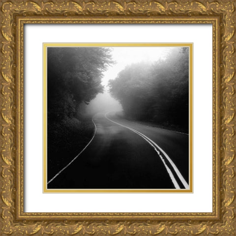 Mountain Road Gold Ornate Wood Framed Art Print with Double Matting by Bell, Nicholas
