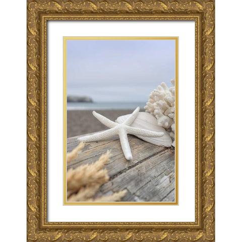 Crescent Beach Shells 13 Gold Ornate Wood Framed Art Print with Double Matting by Blaustein, Alan