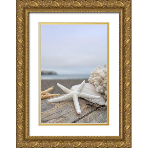 Crescent Beach Shells 14 Gold Ornate Wood Framed Art Print with Double Matting by Blaustein, Alan