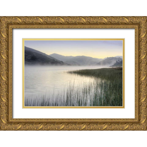 Crescent Beach Calm 1 Gold Ornate Wood Framed Art Print with Double Matting by Blaustein, Alan