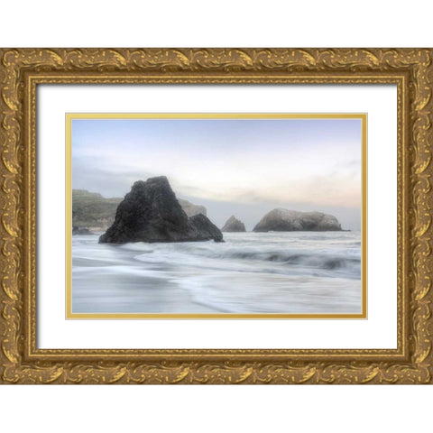 Crescent Beach Waves 1 Gold Ornate Wood Framed Art Print with Double Matting by Blaustein, Alan