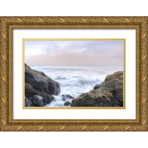 Crescent Beach Waves 3 Gold Ornate Wood Framed Art Print with Double Matting by Blaustein, Alan