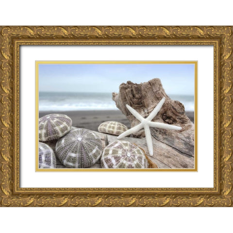 Crescent Beach Shells 5 Gold Ornate Wood Framed Art Print with Double Matting by Blaustein, Alan