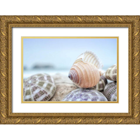 Crescent Beach Shells 15 Gold Ornate Wood Framed Art Print with Double Matting by Blaustein, Alan