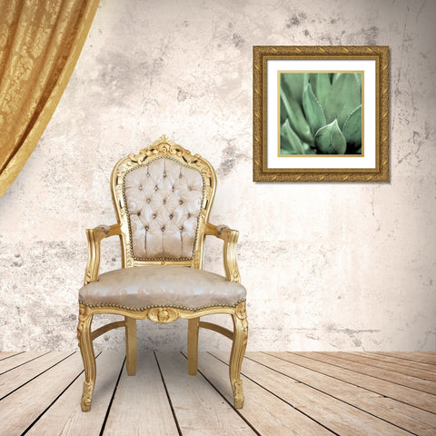 Agave #4 Gold Ornate Wood Framed Art Print with Double Matting by Blaustein, Alan