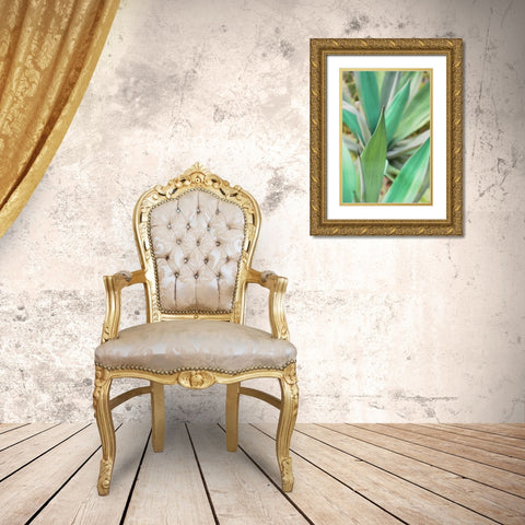 Agave Succulent #3 Gold Ornate Wood Framed Art Print with Double Matting by Blaustein, Alan