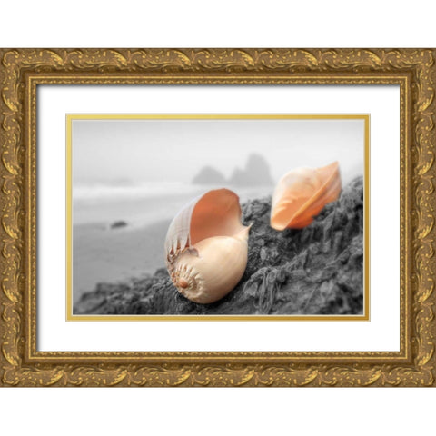 Crescent Beach Shells #20 Gold Ornate Wood Framed Art Print with Double Matting by Blaustein, Alan