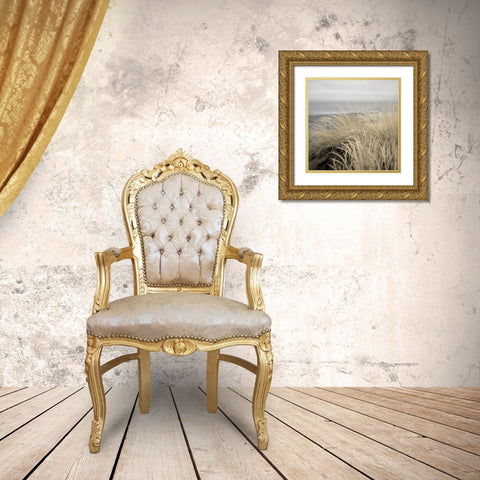 Tuscan Dunes #2A Gold Ornate Wood Framed Art Print with Double Matting by Blaustein, Alan