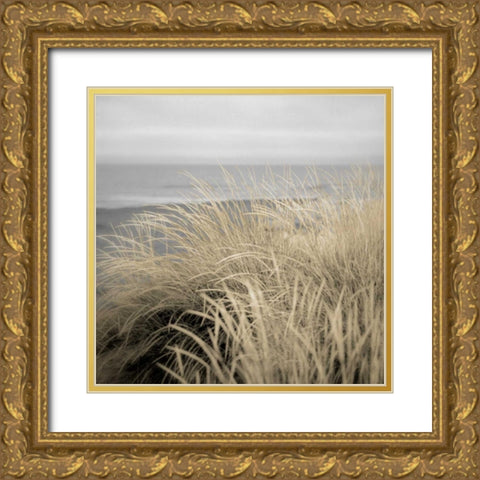 Tuscan Dunes #2A Gold Ornate Wood Framed Art Print with Double Matting by Blaustein, Alan