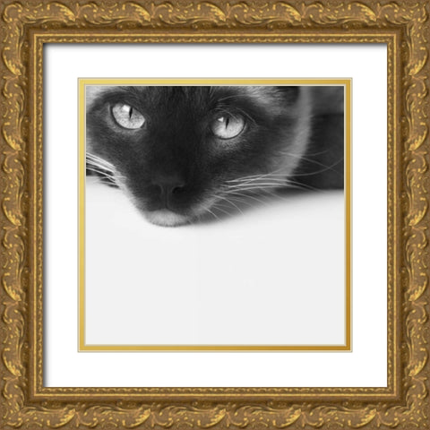 No Stress Gold Ornate Wood Framed Art Print with Double Matting by Bertelli, Jon