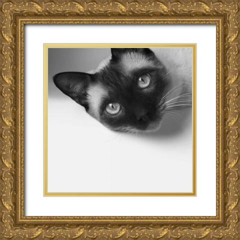 Hey! Gold Ornate Wood Framed Art Print with Double Matting by Bertelli, Jon