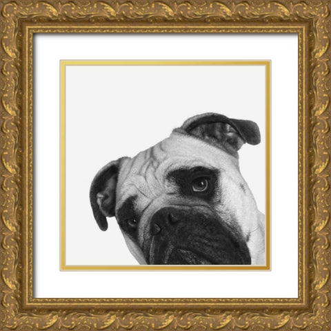 QuÃ© Pasa? Gold Ornate Wood Framed Art Print with Double Matting by Bertelli, Jon