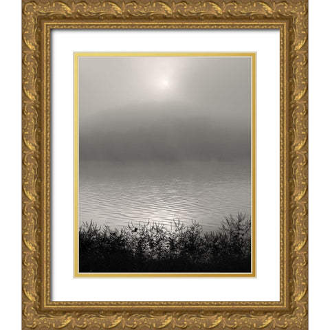 Monochrome Sunrise Gold Ornate Wood Framed Art Print with Double Matting by Bell, Nicholas