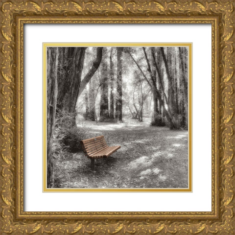 Old Mill Park Gold Ornate Wood Framed Art Print with Double Matting by Blaustein, Alan