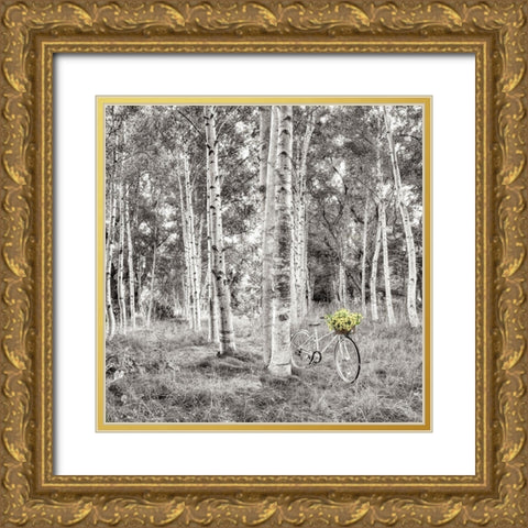 Sunflower Bicycle Ride Gold Ornate Wood Framed Art Print with Double Matting by Blaustein, Alan