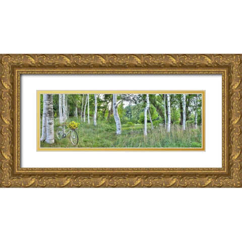 Sunflower Bike Ride No.4 Gold Ornate Wood Framed Art Print with Double Matting by Blaustein, Alan