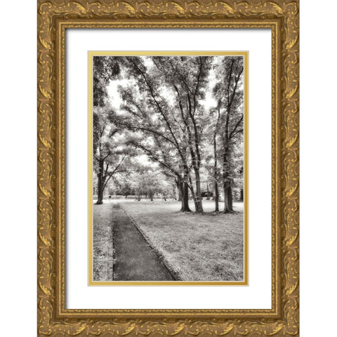 Garden Pathway No.1 Gold Ornate Wood Framed Art Print with Double Matting by Blaustein, Alan
