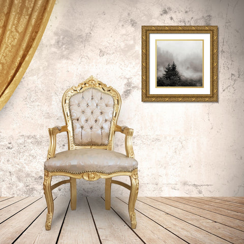 Rising Mist, Smoky Mountains Gold Ornate Wood Framed Art Print with Double Matting by Bell, Nicholas