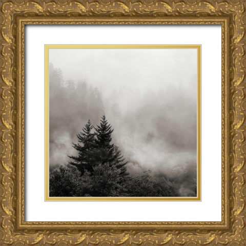 Rising Mist, Smoky Mountains Gold Ornate Wood Framed Art Print with Double Matting by Bell, Nicholas