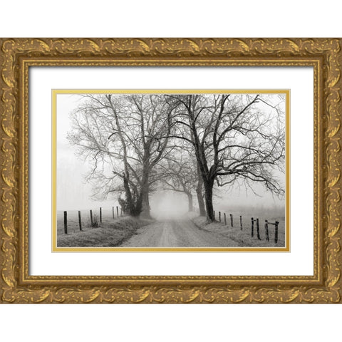 Sparks Lane, Late Autumn Gold Ornate Wood Framed Art Print with Double Matting by Bell, Nicholas