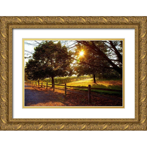 Dreamland Vineyard Gold Ornate Wood Framed Art Print with Double Matting by Broom, Michael
