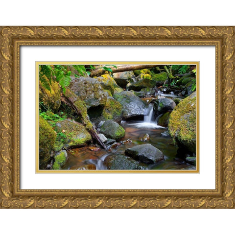 Mossy Stream Gold Ornate Wood Framed Art Print with Double Matting by Broom, Michael