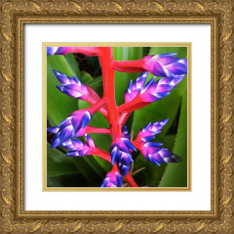 Purple and Pink Gold Ornate Wood Framed Art Print with Double Matting by Bell, Jan