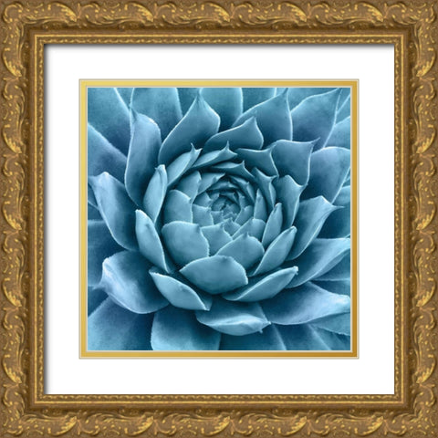 Silvery Blue Agave Gold Ornate Wood Framed Art Print with Double Matting by Bell, Jan