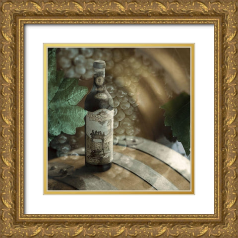 Montepulciano Vineyard #2 Gold Ornate Wood Framed Art Print with Double Matting by Blaustein, Alan