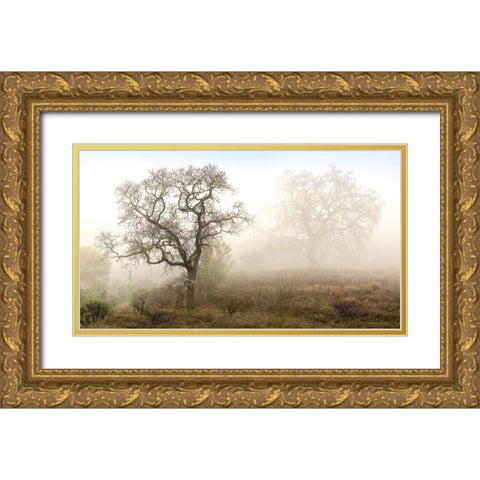 Sonoma Oak 1 Gold Ornate Wood Framed Art Print with Double Matting by Blaustein, Alan