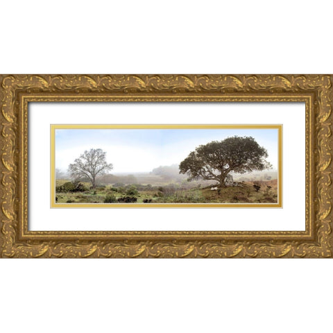 Sonoma Oak Trees No. 1 Gold Ornate Wood Framed Art Print with Double Matting by Blaustein, Alan