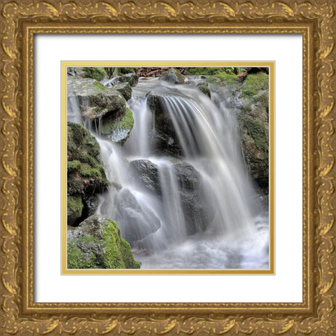Canyon Fallls No. 5 Gold Ornate Wood Framed Art Print with Double Matting by Blaustein, Alan