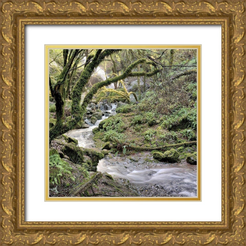 Canyon Falls No. 6 Gold Ornate Wood Framed Art Print with Double Matting by Blaustein, Alan