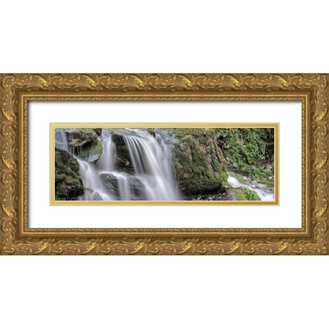 Canyon Falls No. 10 Gold Ornate Wood Framed Art Print with Double Matting by Blaustein, Alan