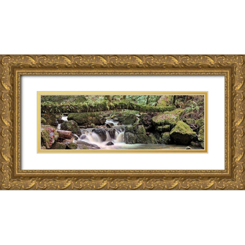 Canyon Falls No. 11 Gold Ornate Wood Framed Art Print with Double Matting by Blaustein, Alan