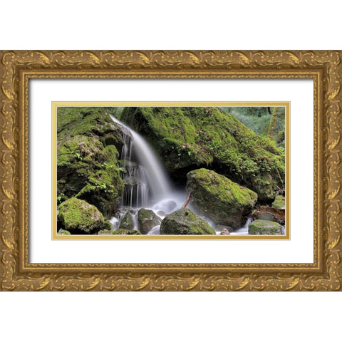 Canyon Falls No. 13 Gold Ornate Wood Framed Art Print with Double Matting by Blaustein, Alan
