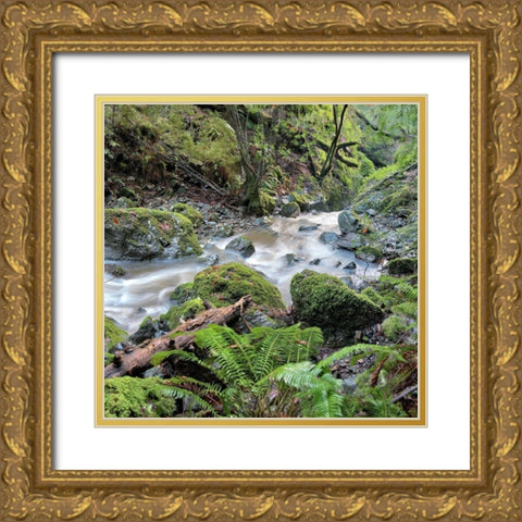 Canyon Falls No. 18 Gold Ornate Wood Framed Art Print with Double Matting by Blaustein, Alan