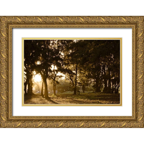 Daybreak Gold Ornate Wood Framed Art Print with Double Matting by Burdick, Chuck