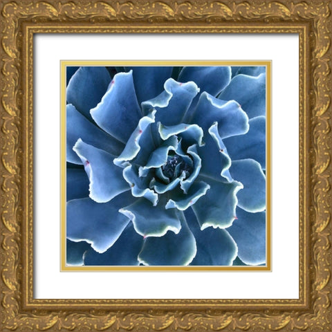 Ruffled Edges Gold Ornate Wood Framed Art Print with Double Matting by Bell, Jan