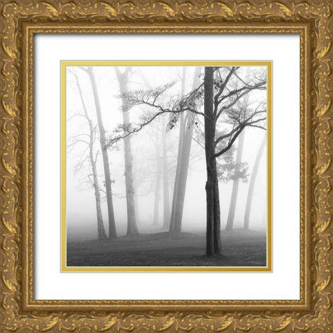 Ethereal Trees Gold Ornate Wood Framed Art Print with Double Matting by Bell, Nicholas