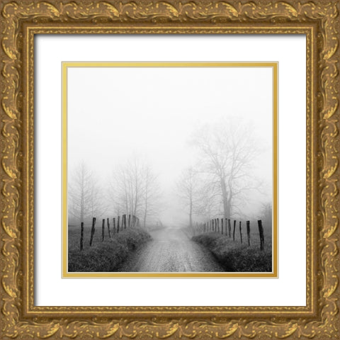 Sparks Lane in Fog Gold Ornate Wood Framed Art Print with Double Matting by Bell, Nicholas